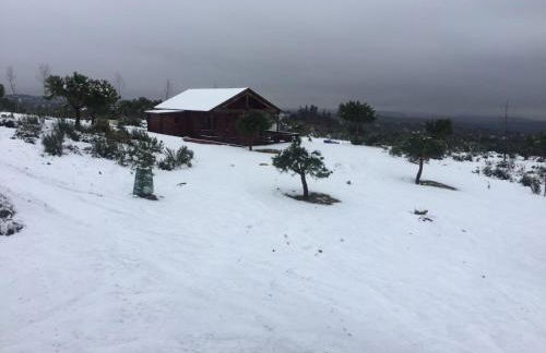 Finca el enebro - Foto 65