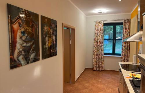 Ruhige Ferienwohnung mit großem Garten und Terrasse - Foto 19