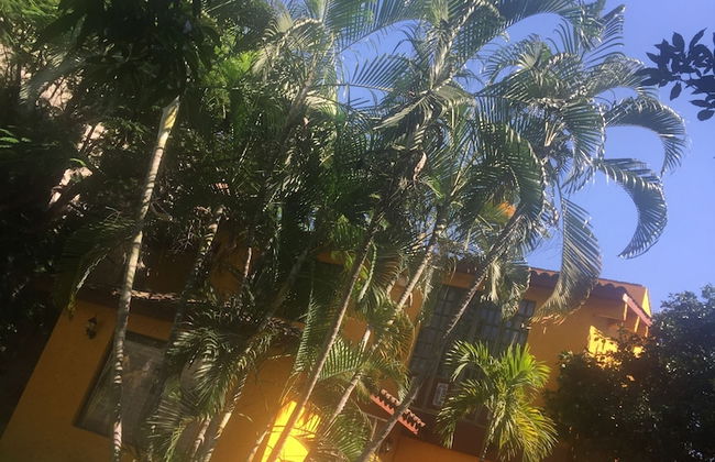 Casa Jardin Paraiso - Foto 30