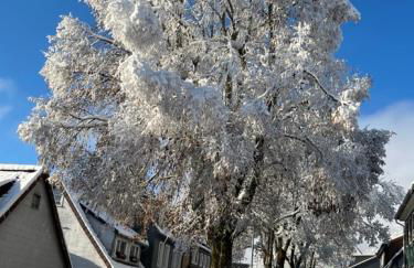 Ferienwohnung Hoher Weg - Foto 44
