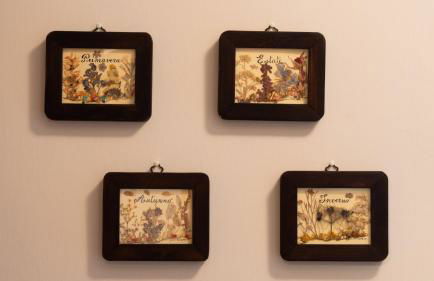 Italianway - Madonnina 24 - Foto 28