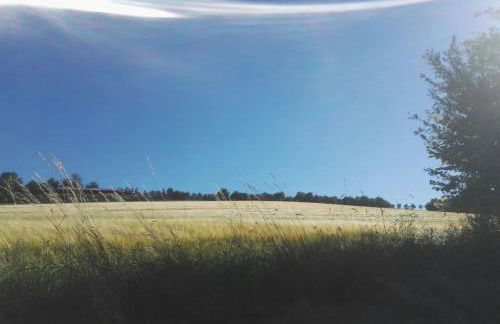 Gemütliche Wohnung Rothaarsteig Ski Sauna Ruhrtal Green Hill - Foto 12