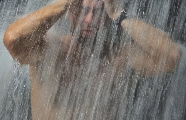 Visita guiada al bosque de Tijuca para grupos pequeños - Foto 13
