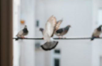 Cozinest Eco Apartment Plant Based Breakfast Included - Foto 82