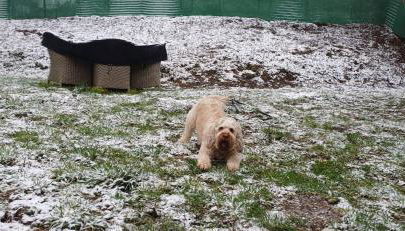 the tillys cottages - Photo 5