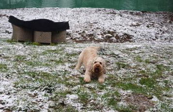 the tillys cottages - Foto 5