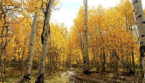 Inexpensive Peaceful Staycation with Views from Decks near Grand Forks, North Dakota - Foto 5