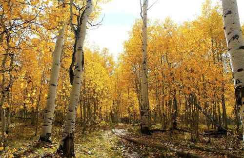 Inexpensive Peaceful Staycation with Views from Decks near Grand Forks, North Dakota - Foto 5