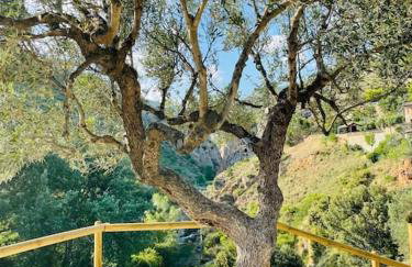 Villa Jardines de Guara - Foto 9