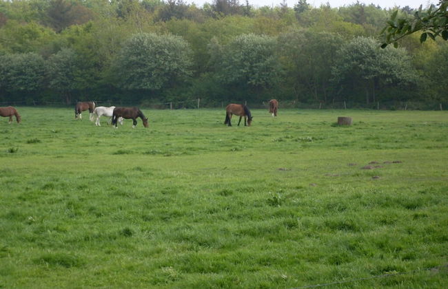 Haus Schumacher Modern Retreat - Foto 10