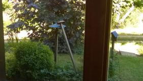 maison bois - Photo 5