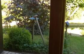 maison bois - Photo 5