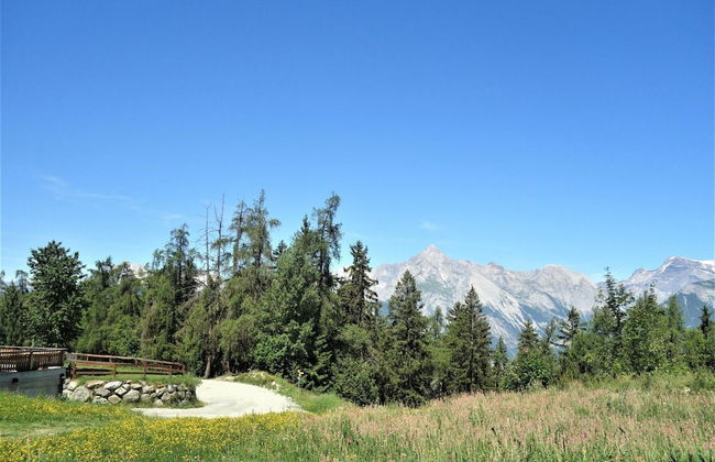 Les Mayens MB 001 - Luxury Apartment 8 Pers - Foto 24