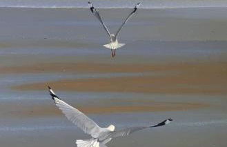 Le Metz, Duplex, 2 Chambres - Foto 19