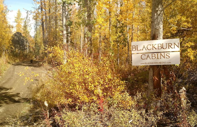 Blackburn Cabins - Photo 47