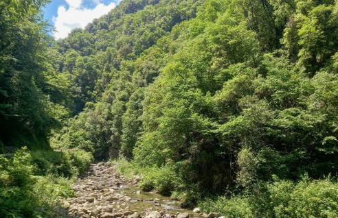 1 Bedroom Stunning Home In Palagnana - Foto 21