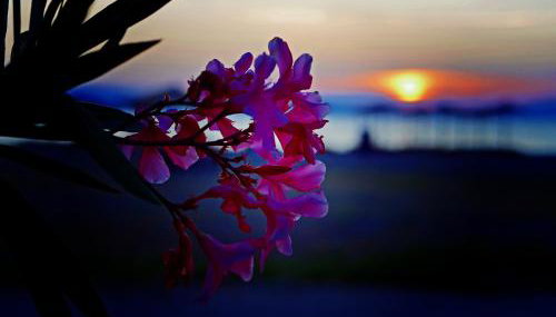 Ilios Studios - Foto 3