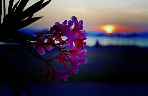 Ilios Studios - Foto 3