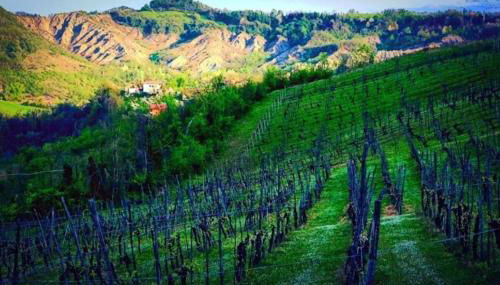 Monteombraro Relax - Photo 5