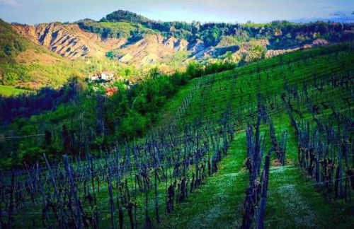 Monteombraro Relax - Foto 5