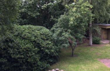 Ferienwohnung Tante Lise - Foto 69