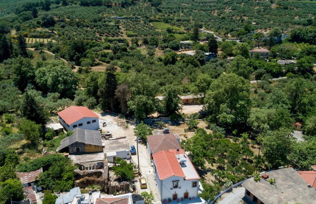 Panethimos House in Nature - Foto 36