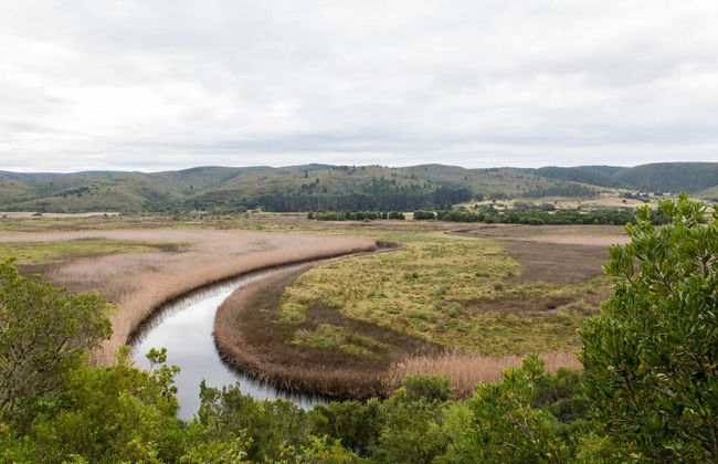 Emily Moon River Lodge - Foto 74