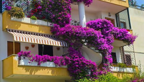 Maison Tiffany - Foto 2