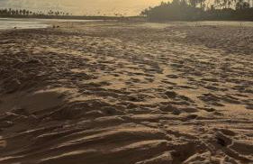 Luxuosa casa, a 150m da praia - Foto 27