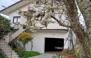 Casa de Fráguas - Foto 26