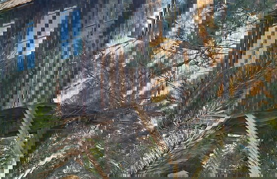 Lepista Garden - Foto 9