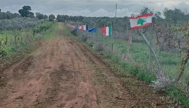 Zeituna Lodge a Porto Cesareo - Foto 2