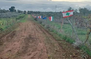 Zeituna Lodge a Porto Cesareo - Foto 2