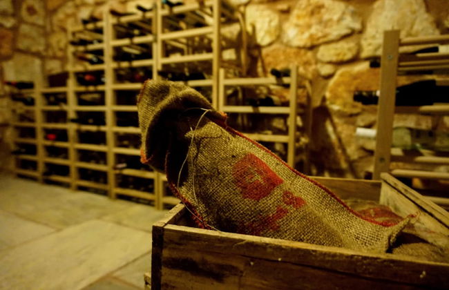 Ariadne Eco Retreat - Photo 15