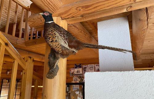 Holiday Home am Rennsteig by Interhome - Foto 12