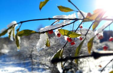 Stara hiža - Foto 39