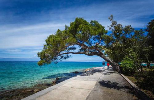 Studio Marina - Foto 16