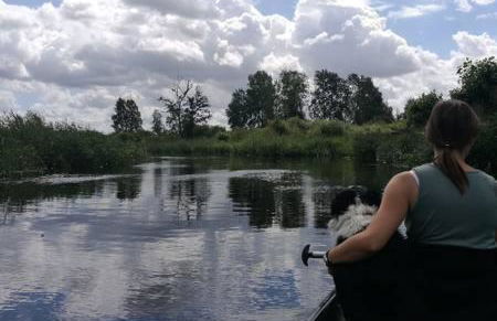 Ferienwohnung Zum Alten Dorfkrug - Foto 16