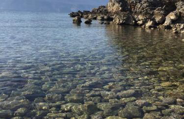 Apartment Magdic - Photo 6