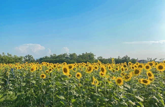 Thanh Chiem Village - Foto 9