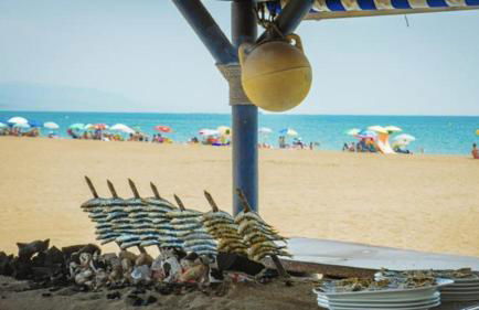 MI CAPRICHO, Beachfront, Grownfloor, Private Garden & Terrace - Photo 79