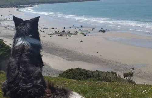 Cwt Gafr Bach - Photo 11