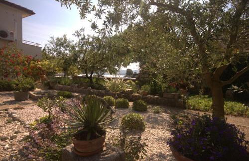 Apartments Katarina Porat - Foto 42