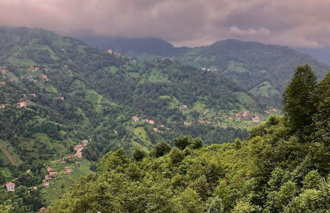 Relax Dağ Evleri - Foto 60