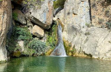 Cal Cuaresma - Foto 64