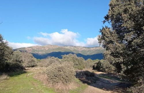 Molino Mellado - Foto 43