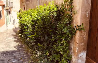 A casa da Anita - Foto 8