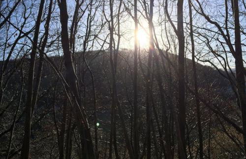 Mellow Mountain Eco Retreat Wales Hot-Tub Sauna - Foto 32