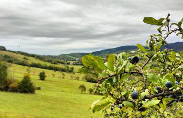 Agroturystyka U Anny - Foto 20