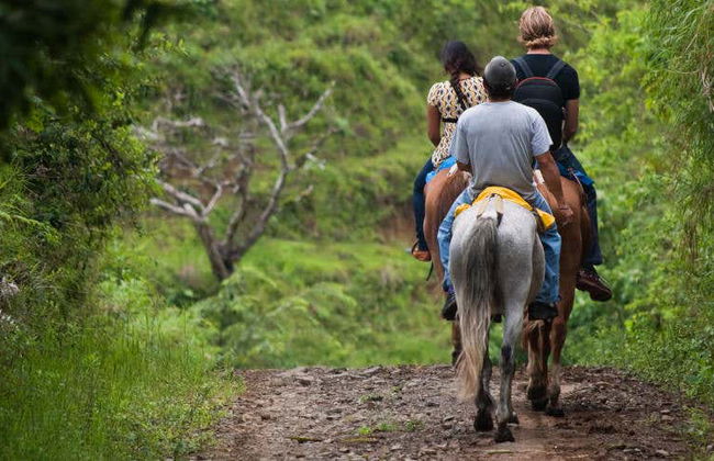 Passeio a cavalo pela selva de Iguazú - Foto 1